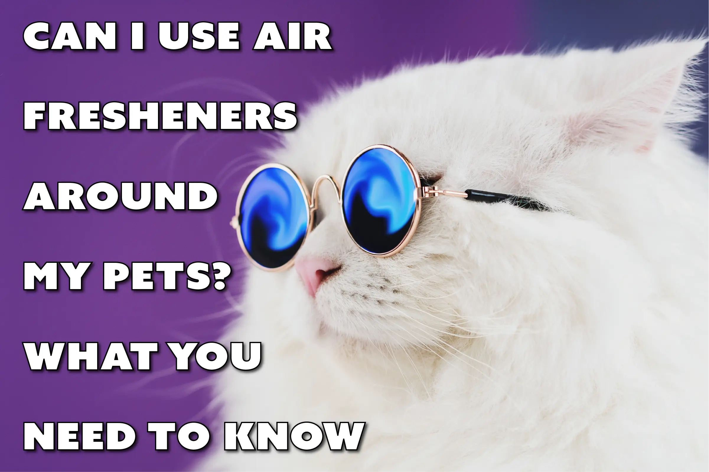 Can I Use Air Fresheners Around My Pets? Here’s What You Need to Know (Science-Backed)