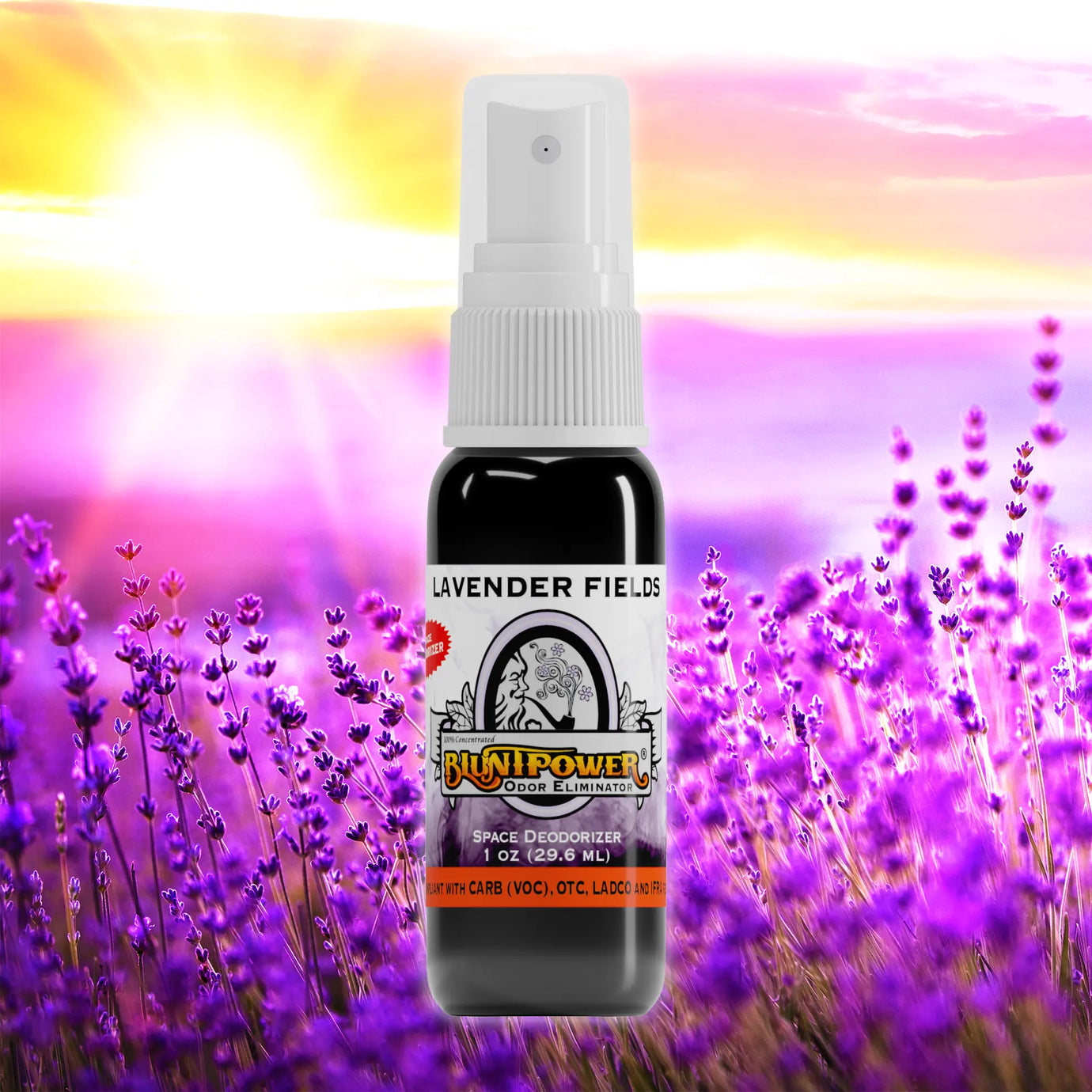 The Lavender Fields Collection