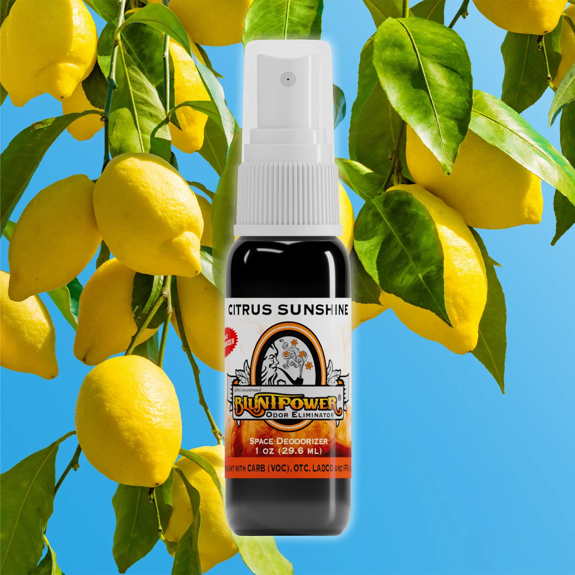 BluntPower Odor Eliminator - Citrus Sunshine Scent Size: 1 fl oz Creative